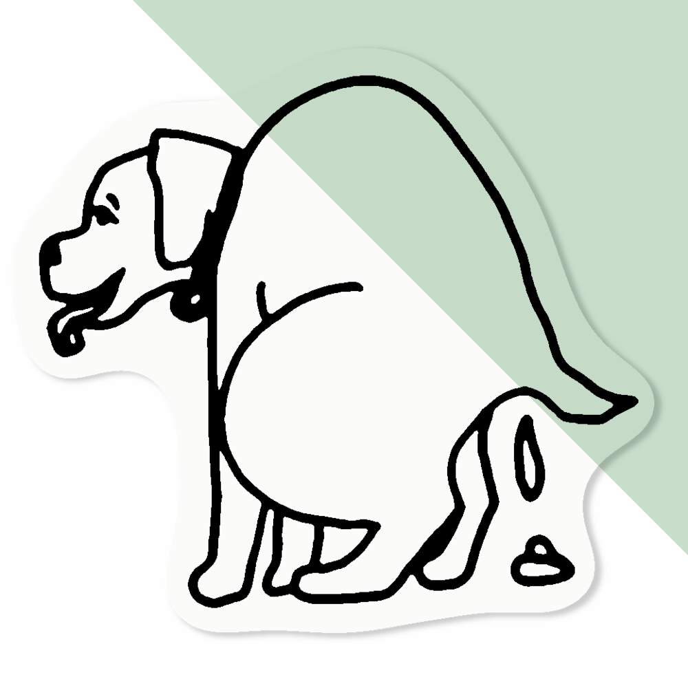 ‘POOPING DOG’ CLEAR Decal Stickers (DC021996) £4.99 - PicClick UK