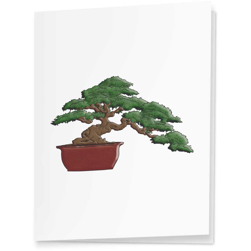 Bonsai Tree Kit, NIFSEL Bonsai Starter Kit - Mini Bonzie Growing Kit for  Beginner with 5 Types of Seeds/Pots, Grow Your Own Bonsai Tree Indoor  Garden, Gardening Gift for Plant Lovers Men/Women/Adults