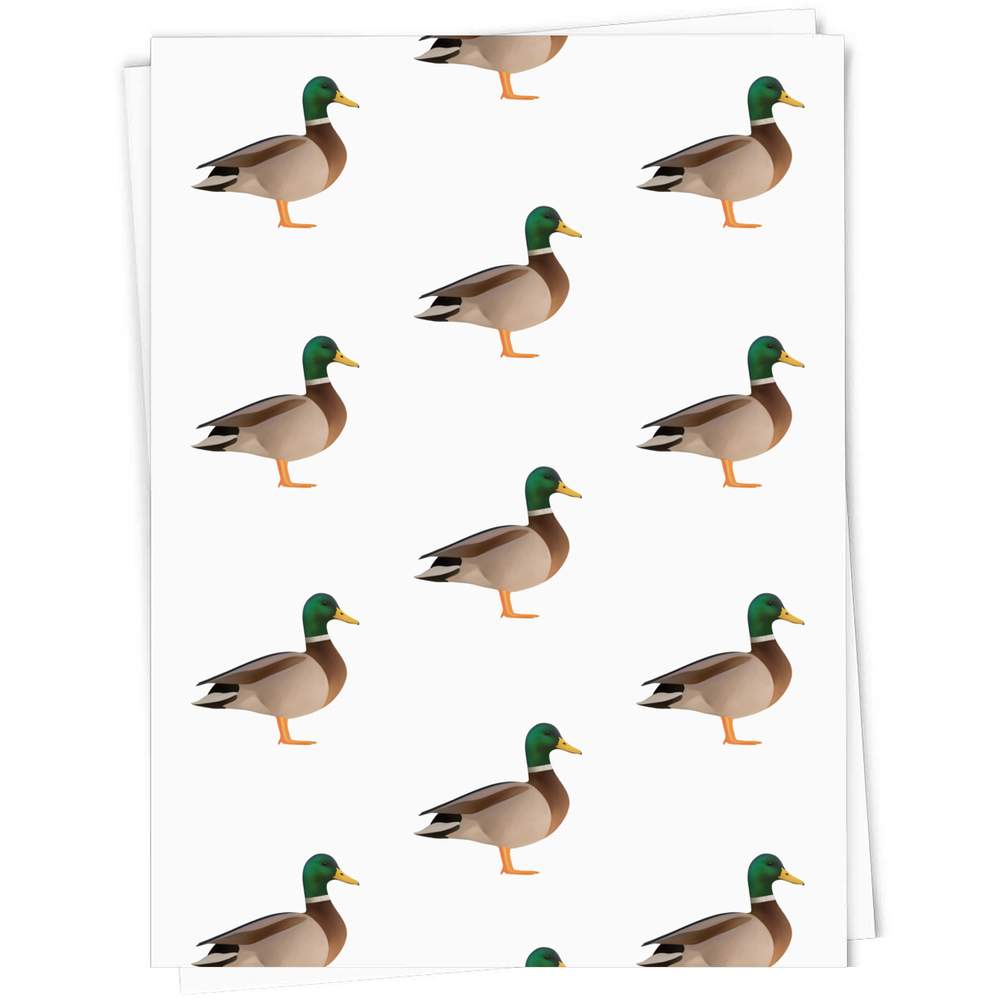 Duck wrapping shop paper