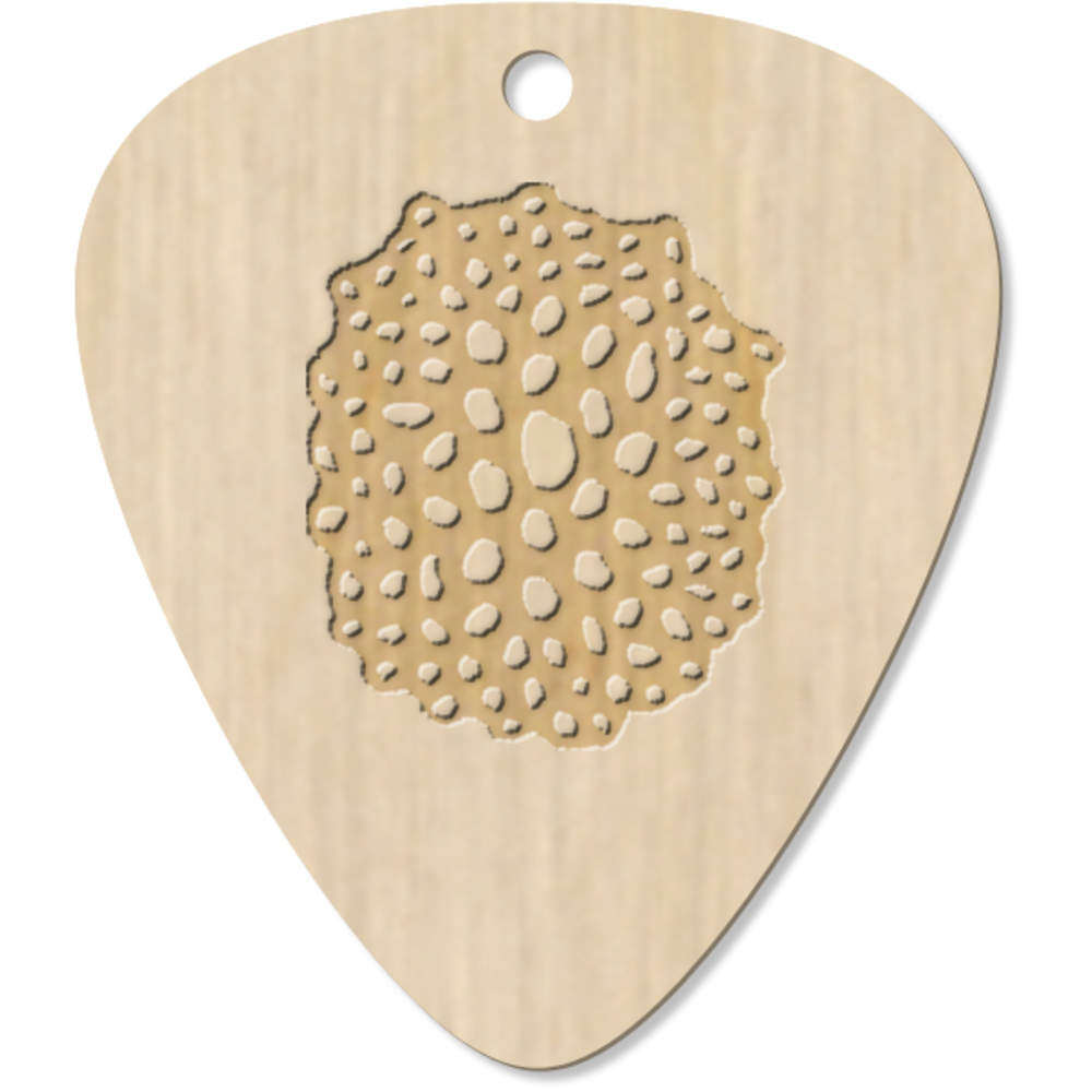 7 x 'Abstract Organic Design' Guitar Picks / Pendants (GP00002775)