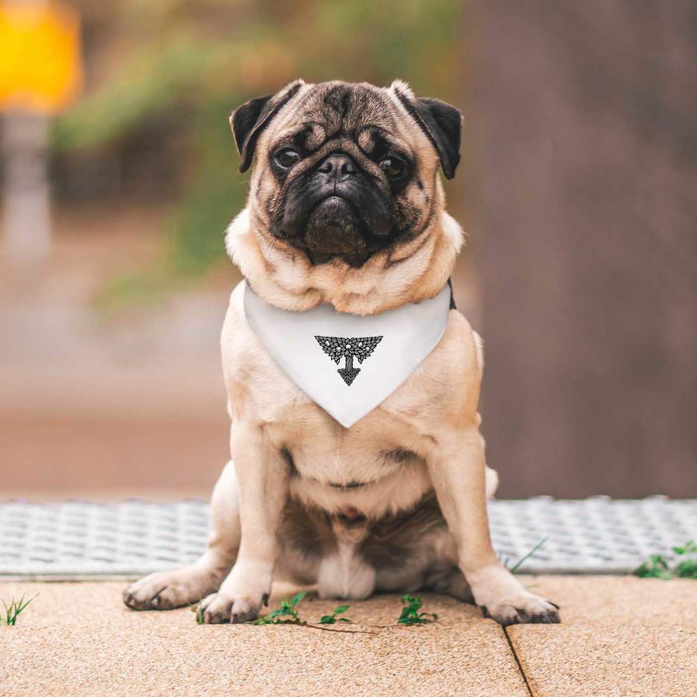 Celtic hot sale dog bandana