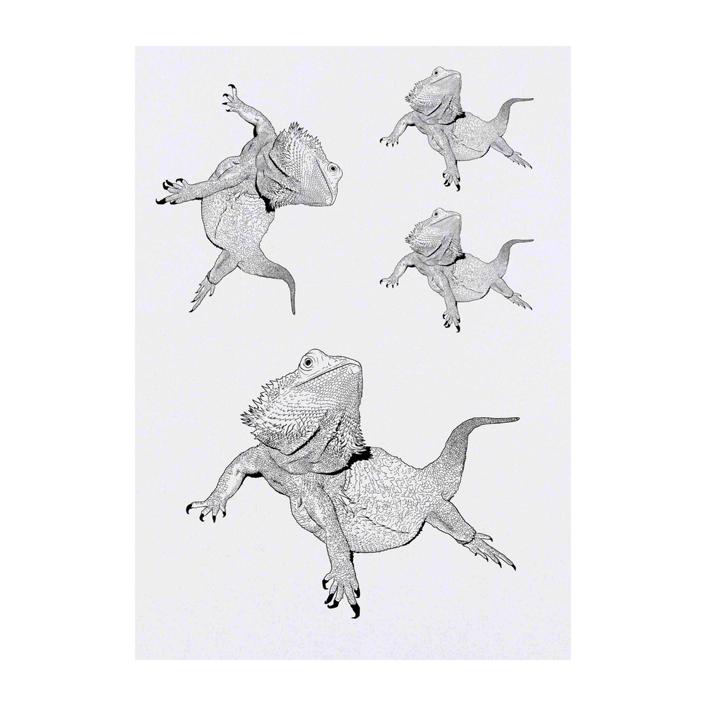 'Bearded Dragon' Temporary Tattoos (TO006404) | eBay