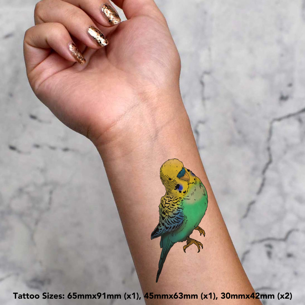 Tattoo Sticker / Budgerigar Tattoo Transfer Sticker - Shop parrotdaylife  Temporary Tattoos - Pinkoi