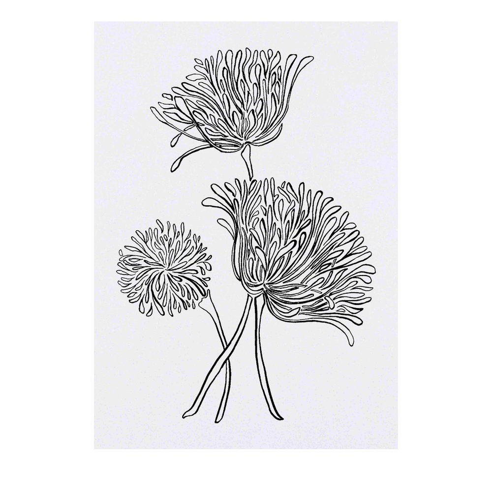 Download Allium Flower Watercolor Painting PNG Online - Creative Fabrica