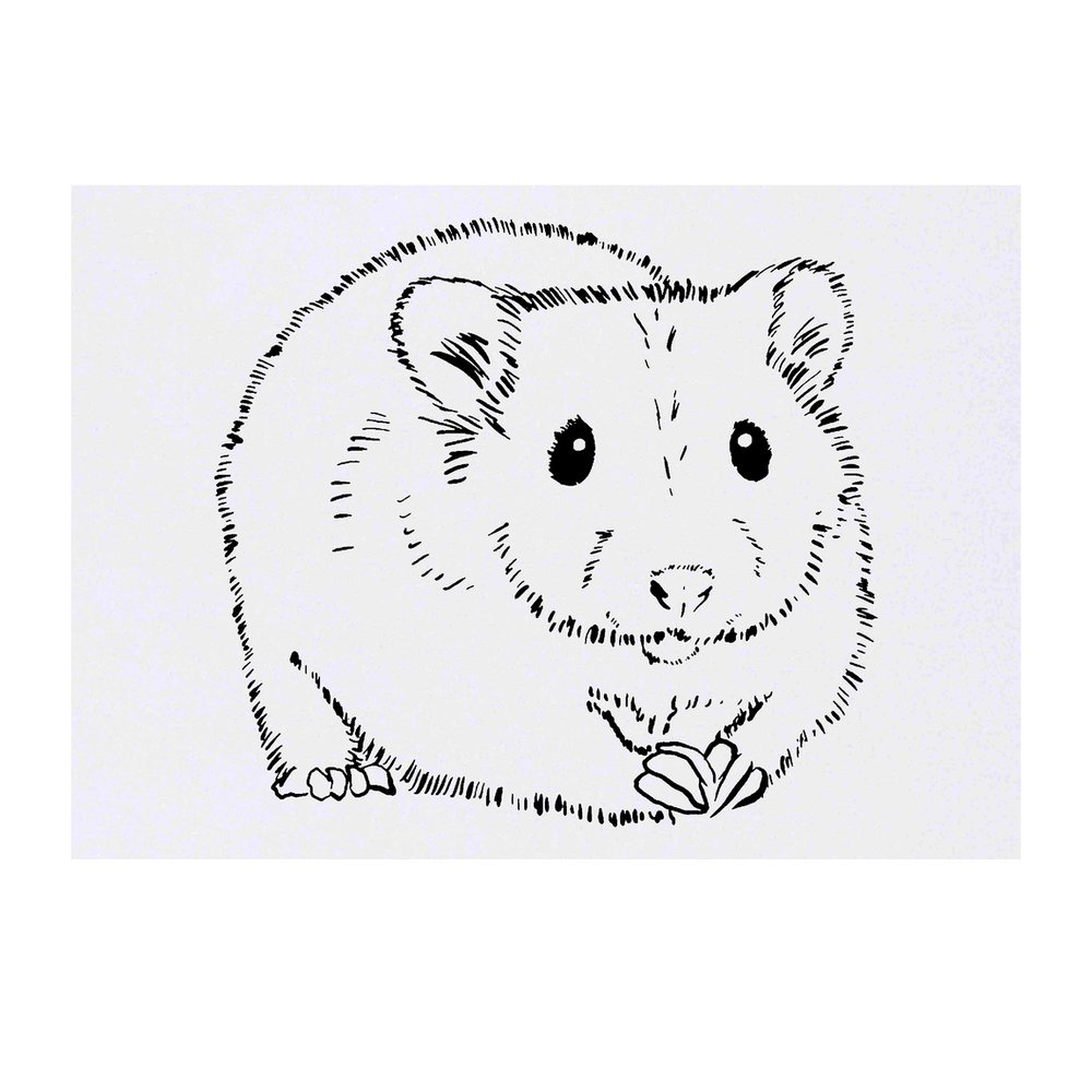 Cute Fluffy Hamster Realist Tattoo Design – Tattoos Wizard Designs