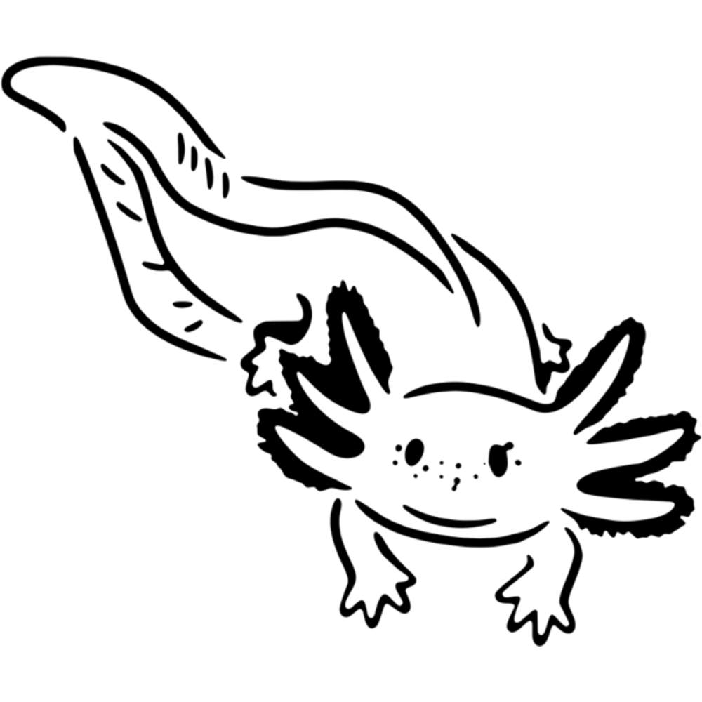 axolotl-mur-pochoirs-gabarits-ws000822-eur-8-26-picclick-fr